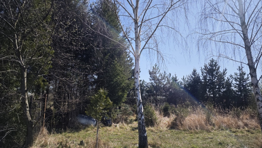 Działka Sprzedaż Wyględy